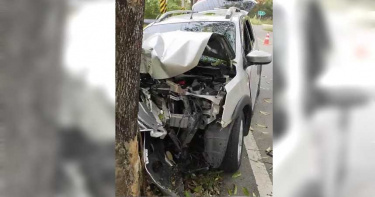 行車突撞樹!母死駕駛兒重傷 家屬「弟弟有時會失去意識」