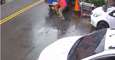 嘉義傳冷血飼主電鋸虐狗! 網痛批:不配生活在這裡