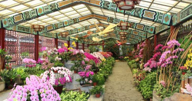 北市過年走春好去處 活動讓你跑不完