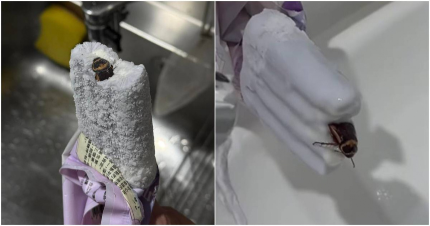 一名男網友發文控訴，他與女友到超商買了一支「連珍芋角奶蓋雪糕」，沒想到竟吃到一隻完整大蟑螂。（圖／擷取自Facebook／爆料公社二社）