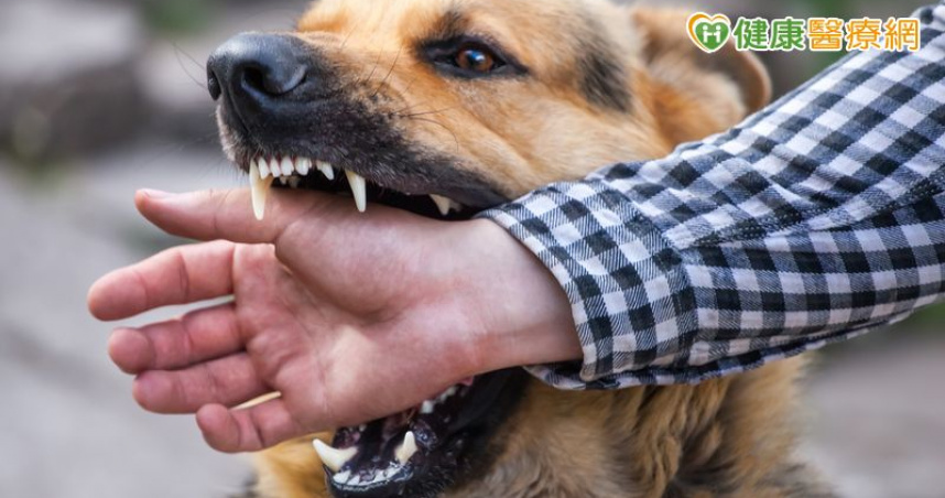 犬隻咬傷恐傷及神經　醫美「這樣做」協助修復疤痕