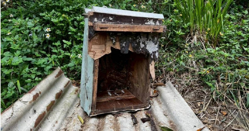 遭黑熊破壞取食之蜂箱（木製）。（圖／林業保育署屏東分署提供）