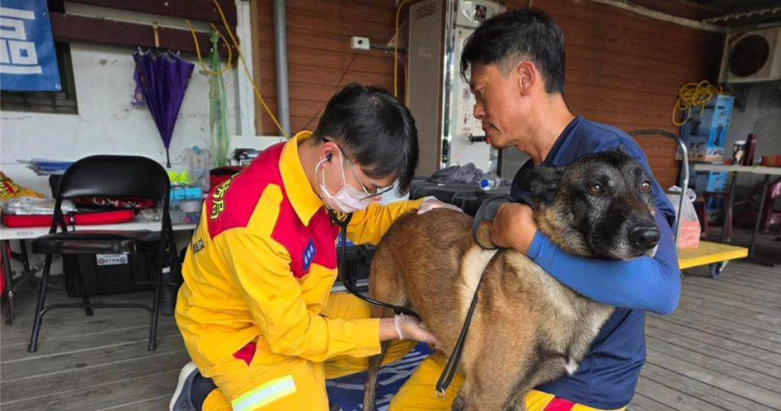 花蓮馬太鞍溪堰塞湖溢流災情慘重，高市消防局出動8隻搜救犬支援，成為救援行動中的關鍵角色，而這些救難小英雄們平日的生活狀況與健康保養，也成為外界關注焦點。（圖／高市消防局提供）