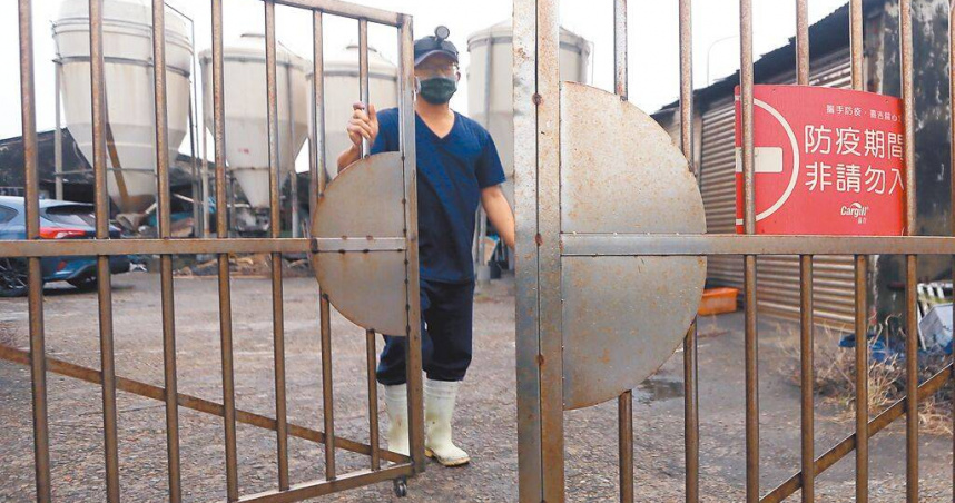 農業部宣布自22日12時起全國豬隻禁運禁宰5天，北部一處養豬場的豬農憂心未來疫情發展。（圖／范揚光攝）