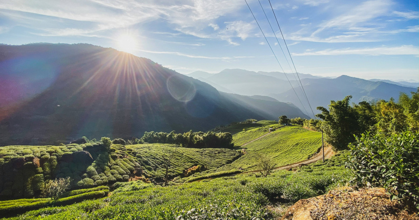 明天就是2026年元旦，不少人會早起去看新一年的第1道曙光。圖為阿里山日出。（示意圖／unsplash）