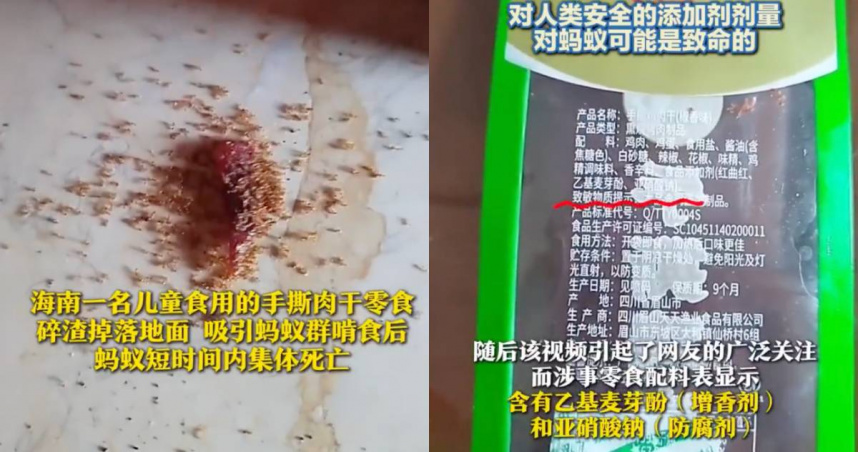 中國一款零食螞蟻吃了之後集體死亡。（圖／翻攝微博／中國新聞周刊）