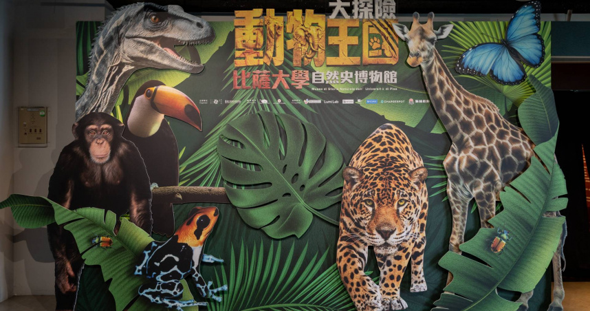 展覽突破傳統的科普展示方式，結合真實動物標本呈現生態豐富。（圖片提供／翡冷翠）