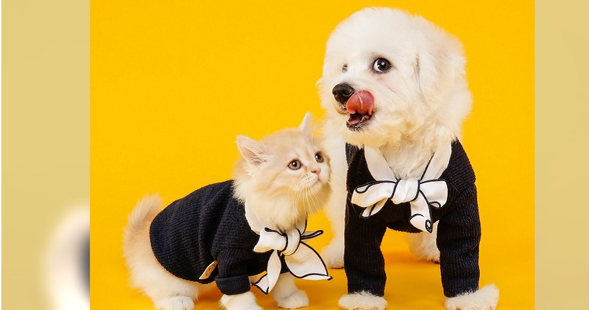 圖說-一小顆感應鈕扣  毛小孩也有預防醫學！