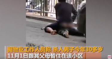 9歲男童疑遭精神病患狂毆致死!「螺絲起子捅脖一圈」眾人冷眼圍觀