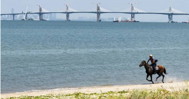 金門大橋即將於今年10月通車，縣府今天公告未來各式大、小車輛的收費草案，並規畫通車後第1年將不收過橋費。（圖／中國時報記者李金生攝）