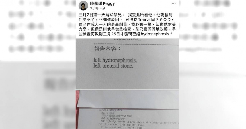 民眾黨前黨主席柯文哲羈押期間，健康狀況頻亮紅燈。（圖／翻攝自臉書／陳佩琪Peggy）