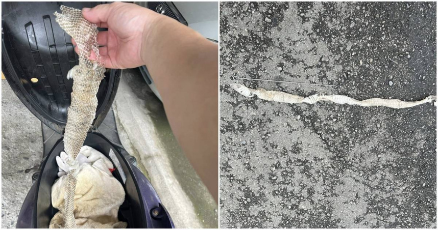 原PO表示，他在車廂發現1公尺蛇皮。（圖／翻攝臉書爆廢公社公開版）