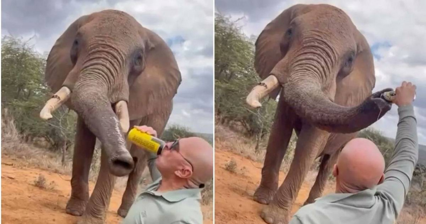 近日，一名西班牙籍男子在喝啤酒的時候，竟自以為有趣的將啤酒罐入一頭親近人的大象鼻子裡，白目行為立刻引爆當地居民怒火。（圖／翻攝IG／skydive_kenya）