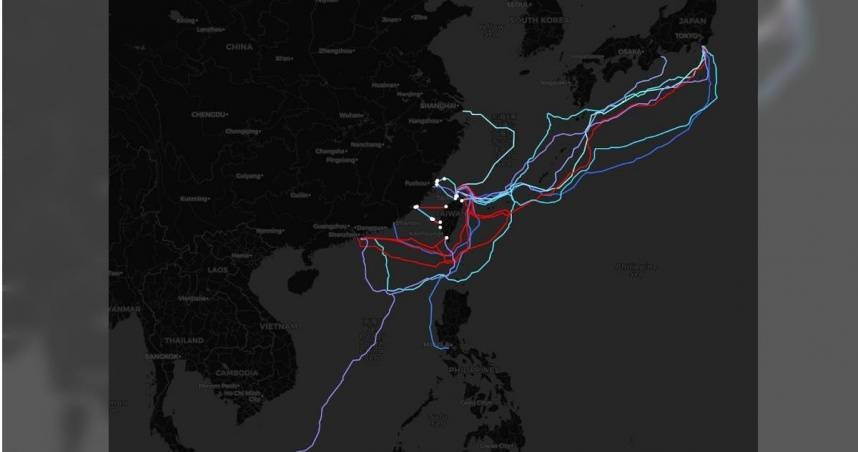 （圖／翻攝自台灣海纜動態地圖）