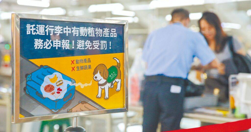 台灣防堵「非洲豬瘟」破功，財政部關務署22日提出精進措施，鎖定高風險進口人及快遞貨物加強查核，尤其大陸、港澳地區的入境旅客，提高人工開箱查驗比率。（圖／中時記者陳麒全攝）