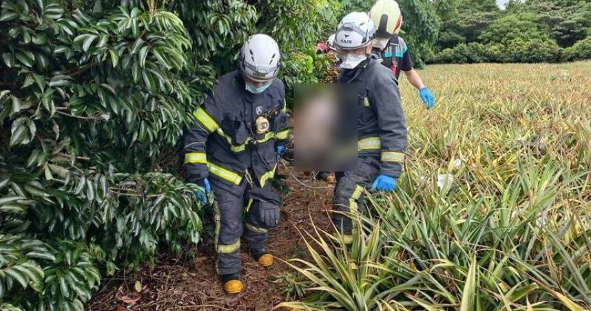 彰化荔枝園驚見「木乃伊女屍」！主嫌曝駭人棄屍過程