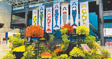 高雄火鶴花外銷受阻 市府編列獎勵金2百萬