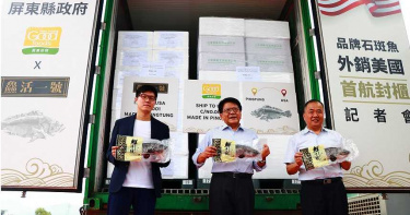 外交苦果2/政府吹噓石斑魚賣到美國 養殖業者:樣板銷售曇花一現