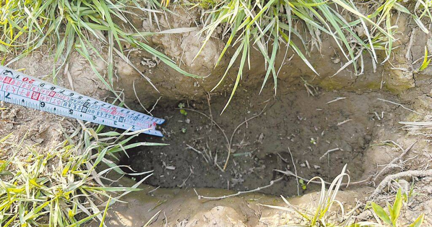 新北市新莊寵物公園近日出現15公分深坑洞，恐危及毛孩安全。（圖／新北市議員戴湘儀提供／中國時報張鎧乙新北傳真）