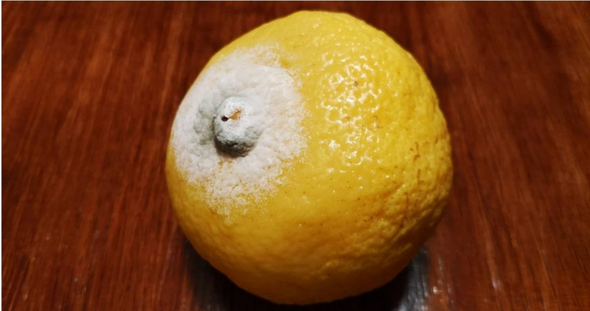 發霉水果。（示意圖／photoAC）