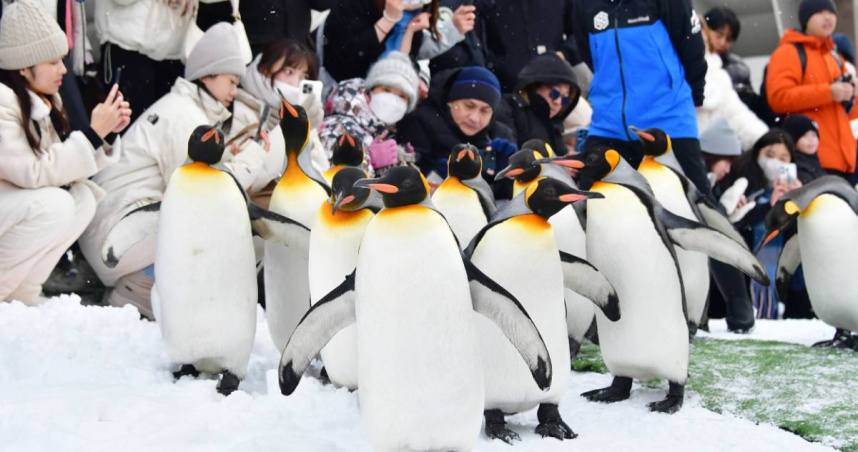 日本旭山動物園發生棄屍案。（圖／達志／美聯社）
