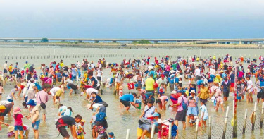 台南七股海鮮節摸文蛤 首日8千人海塞爆碼頭