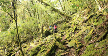 「貴婦登山團」4天要價9萬8!不含機票 網嘆:貧窮限制我的想像