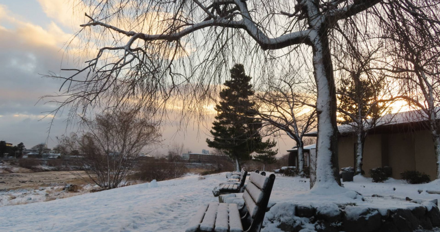 林氏璧在日本雪地裡跌倒。（示意圖／Photo AC）