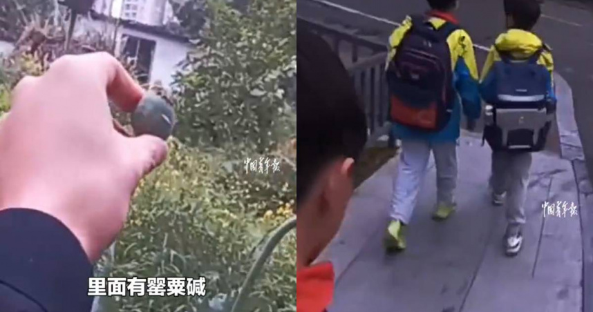 大陸3名國小生發現罌粟後報警並帶路指認。（圖／翻攝自微博）