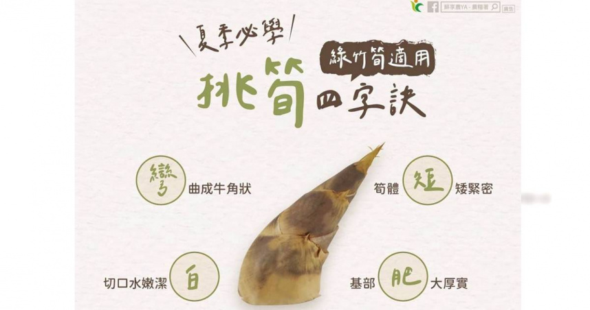 農糧署建議，挑選綠竹筍時，應注意「白、彎、短、肥」。（圖／翻攝自臉書／鮮享農YA - 農糧署）