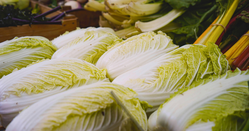 最近大陸爆出「甲醛白菜」食安風波。（示意圖／unsplash）