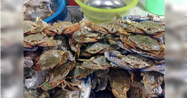 市場買螃蟹…2隻「要價千萬」 網見發票笑翻:一夜致富