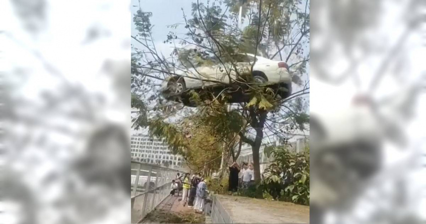 近日，中國網路上流傳一則「駕訓班天兵學生把車開上樹」的影片，引起網友討論。不過據陸媒報導，該則影片已被證實是駕訓班為了博取關注，自導自演的擺拍假事件。（圖／翻攝微博）