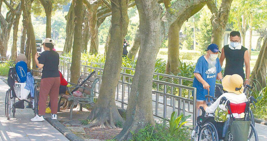 衛福部5月21日預告修正《長期照顧服務人員訓練認證繼續教育及登錄辦法》部分條文，增訂申請認證消極資格。示意圖為照顧者陪長者到公園，非新聞當事人。（圖／報系資料照）