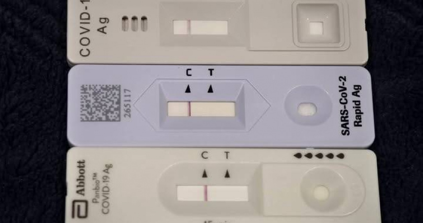 （圖／翻攝自林氏璧FB粉絲專頁）