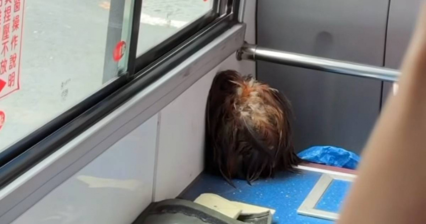 雞毛撢子放置的角度宛如一顆人頭，嚇壞乘客。（圖／爆廢公社公開版）