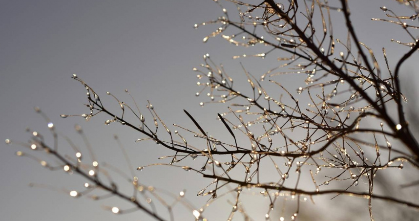 （示意圖／Pexels）