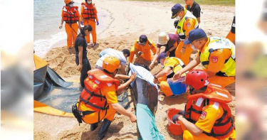小鯨魚擱淺澎湖沙灘 海巡成功救援重返大海