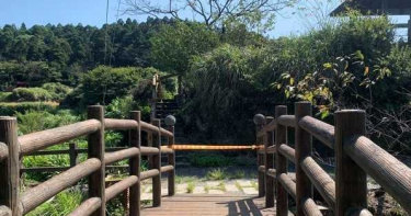 5遊客陽明山竹子湖驅趕虎頭蜂 同伴助陣群起圍攻