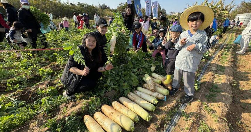 金門圓頭農牧食品公司今日連續第3年舉辦「追源頭‧拔菜頭」公益家庭日活動，吸引300多位親子報名參加。（圖／中國時報于家麒攝）