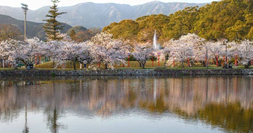 擁有500棵櫻花的日本九州佐賀賞櫻名所「佐賀城公園」。（圖／易飛旅遊提供）
