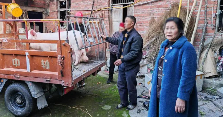 大陸四川省資中1戶村民家中的2頭豬3個月前突然不見了，當時每頭豬重約60多公斤。（圖／翻攝自紅星新聞）