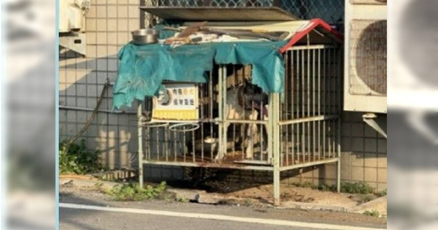 彰化議員肉身擋猛犬救人，小腿遭狠咬鮮血直流。（圖／翻攝畫面）