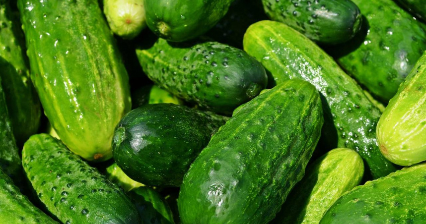 俄羅斯女子因親密行為導致黃瓜卡入直腸，送醫後由醫師成功取出異物。圖為示意圖。 （示意圖／Pixabay）