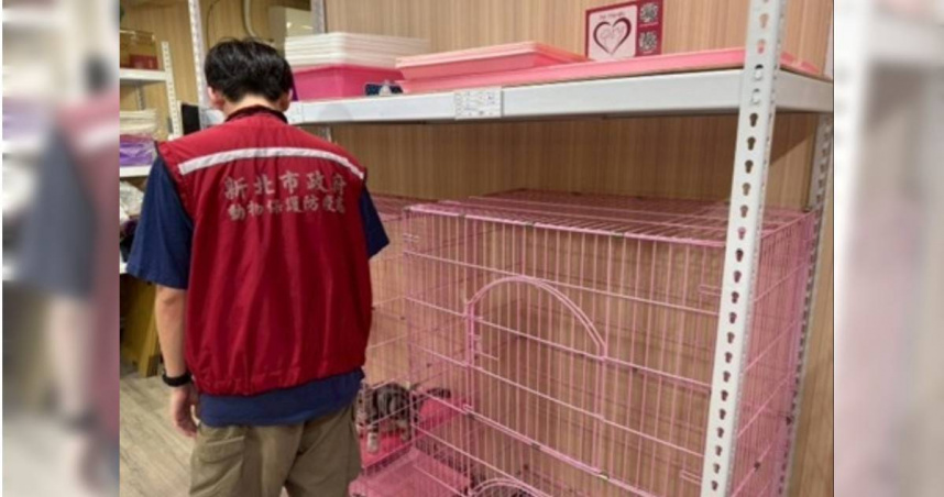 新北市動保處表示，未來將持續舉辦業者教育訓練、定期輔導稽查，協助業者了解並遵守特寵法規，強化法規落實，打造透明且負責任的寵物交易環境。（圖／取自新北市政府網站）