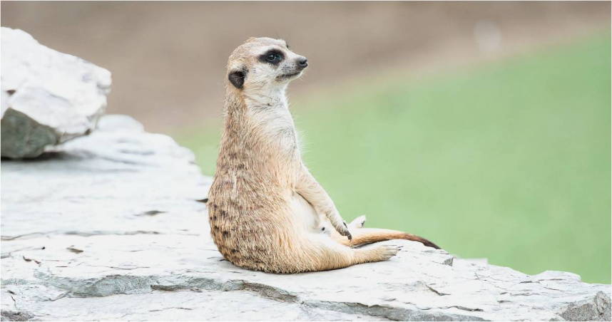 （示意圖／Pexels）