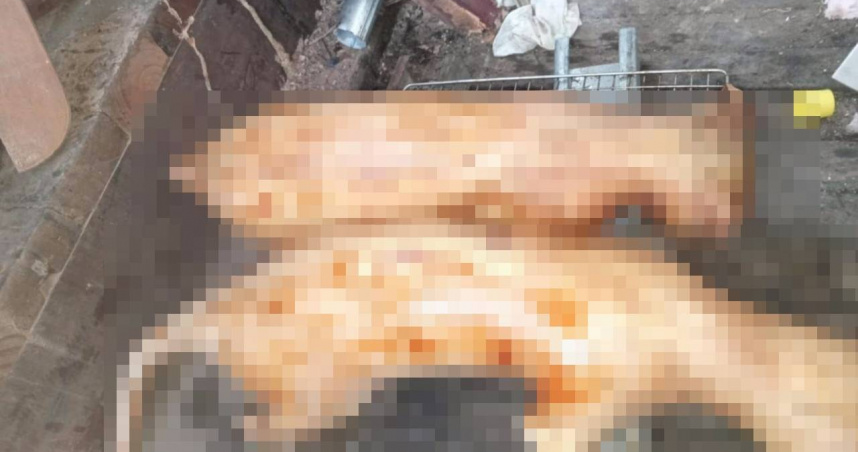 日前有越南籍移工在中南部地區捕殺流浪貓狗，然而近日又有越南籍移工捲土重來，上網表示有「狗肉」可賣。（圖／流浪動物珍愛協會提供）