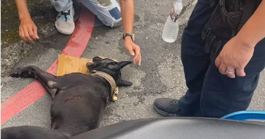 北市南港區發生虐狗案（圖／翻攝記者爆料網）