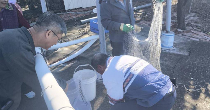 台灣鯛被驗出禁藥，雲林縣許姓漁民（中）1日出面喊冤，強調養魚30餘年不會做這種事。（圖／雲林縣政府提供）