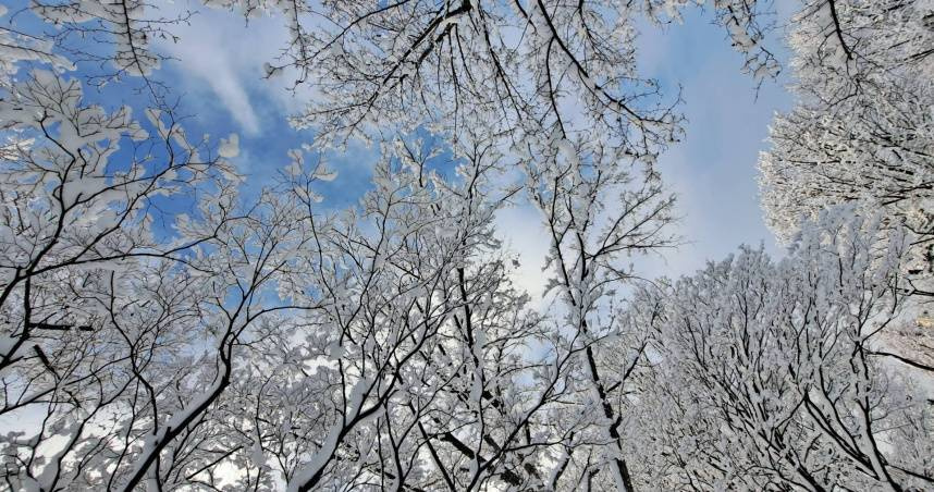 2025年12月7日05點05分節氣來到「大雪」，古人云：「大者，盛也，至此而雪盛也」。（示意圖／翻攝自photoAC）